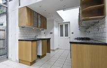 Dungannon kitchen extension leads